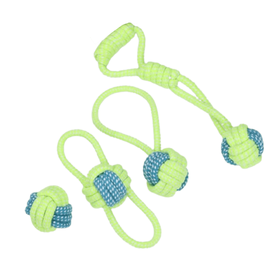 Lot de 4 cordes vertes à mâcher pour chien