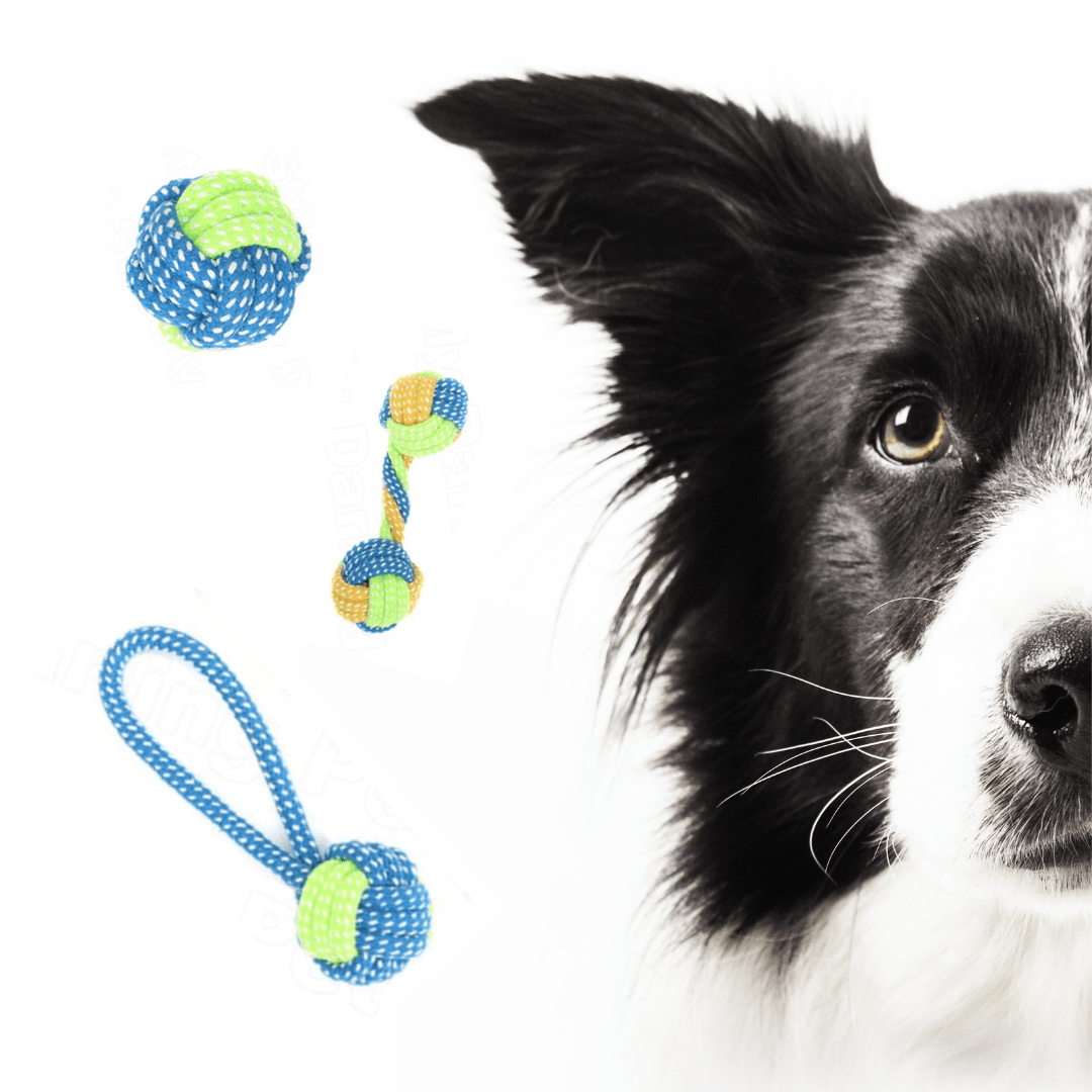 Lot de 7 cordes bleues à mâcher pour chien