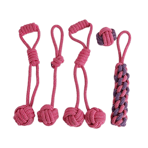 Lot de 5 cordes roses à mâcher pour chien
