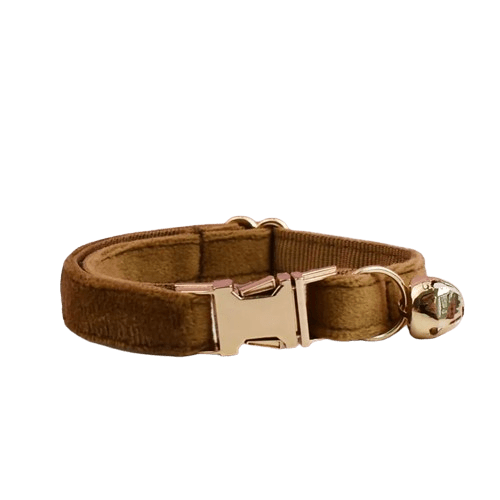 Collier en velours marron pour chat