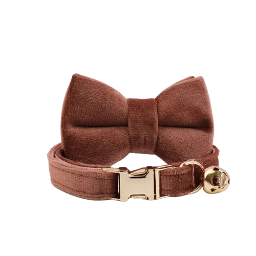 Collier en velours marron pour chat