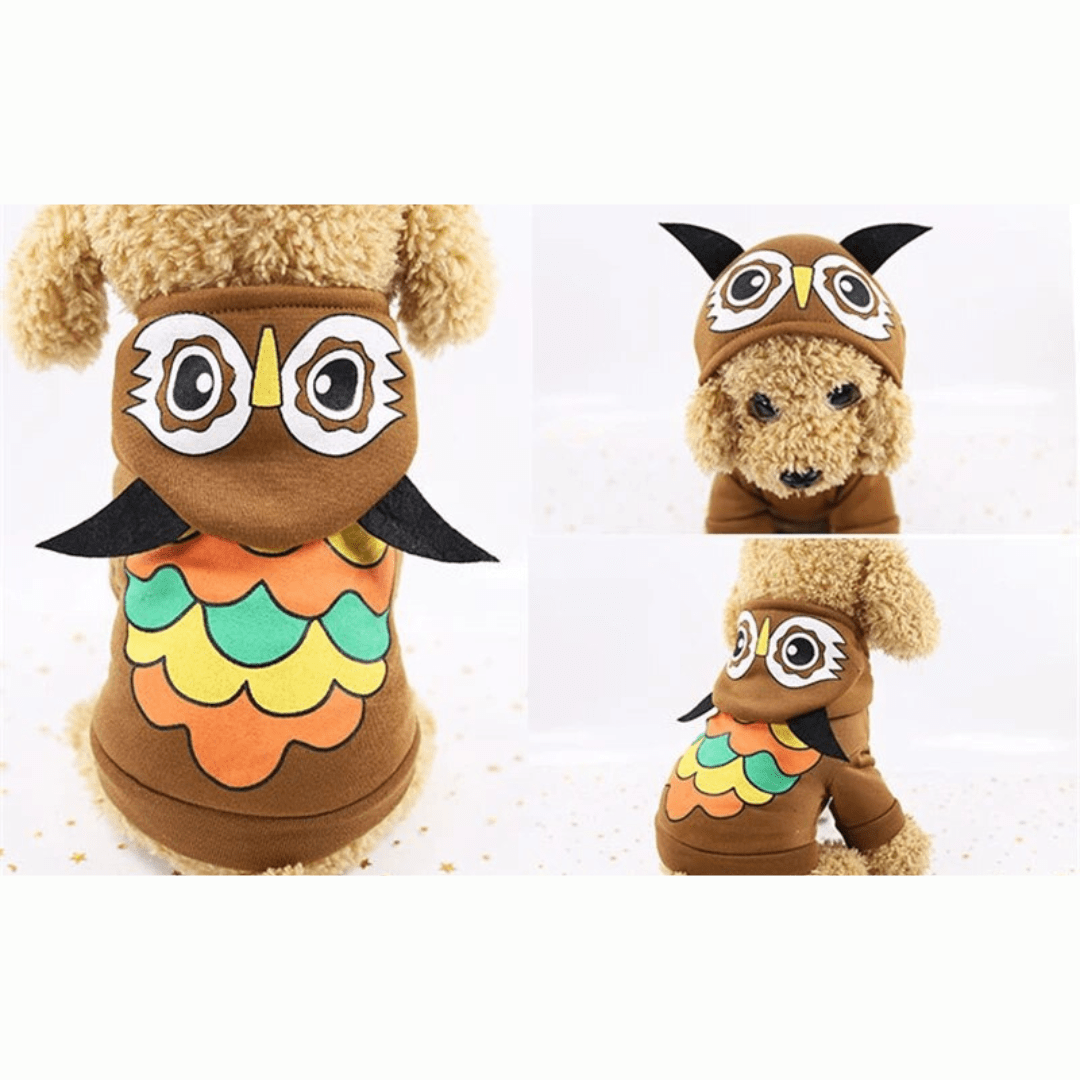 Pull pour chien - Animaux - Marron