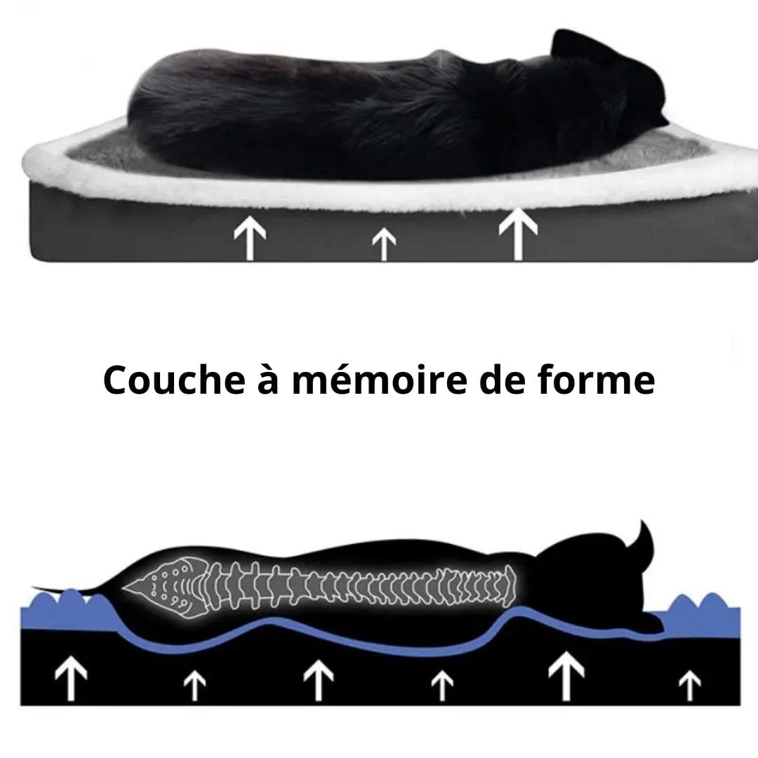 Couchage pour chien à mémoire de forme