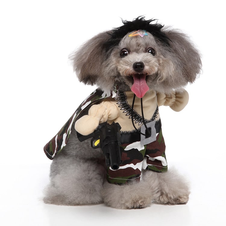 Déguisement militaire pour chien et chat