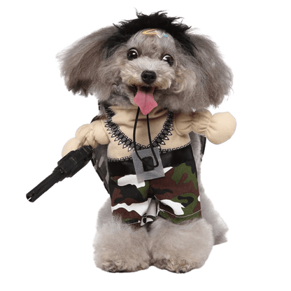 Déguisement pour chat et chien - Militaire