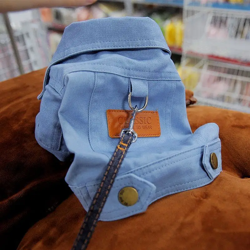 Modèle de notre veste Denim de printemps pour chien
