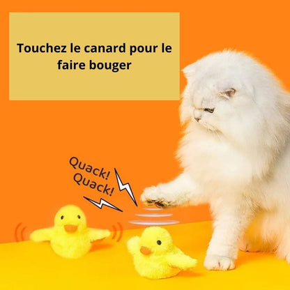 Mouvements de notre peluche interactive canard pour chat