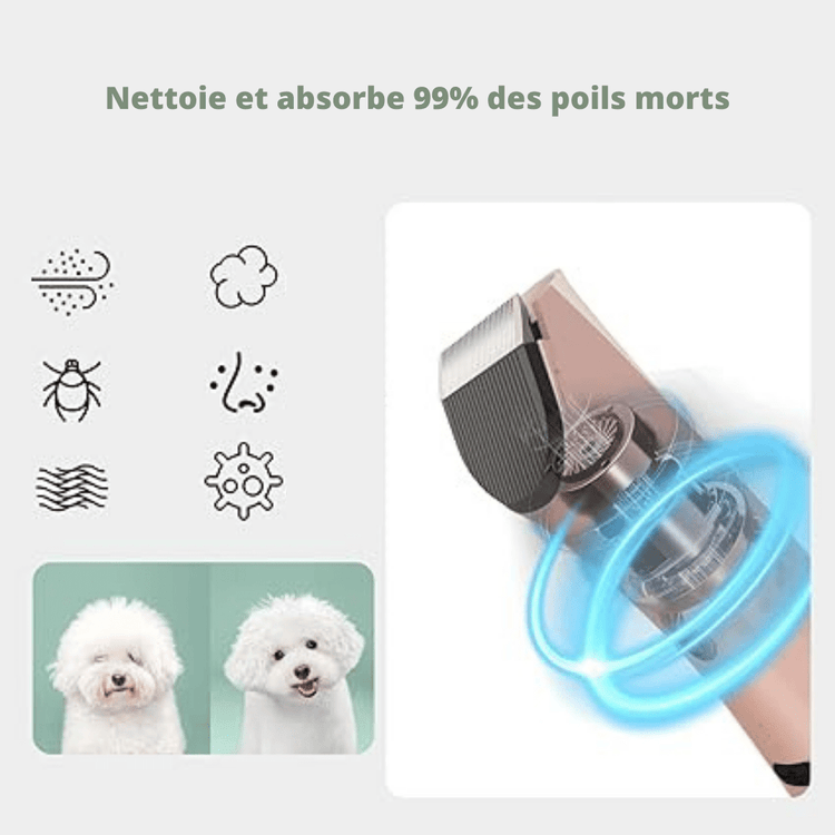 Aspirateur kit de toilettage pour animaux de compagnie