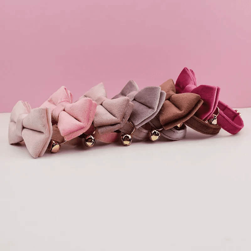 Collection de collier en velours avec nœud pour chat