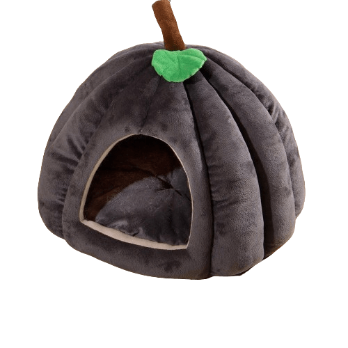 Couchage confortable citrouille noire pour chat