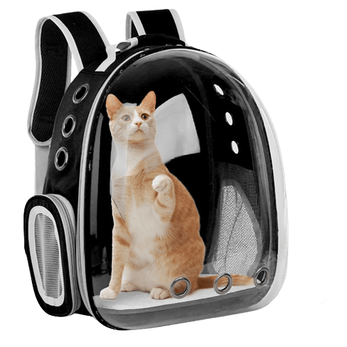 Sac à dos de transport noir pour chien et chat