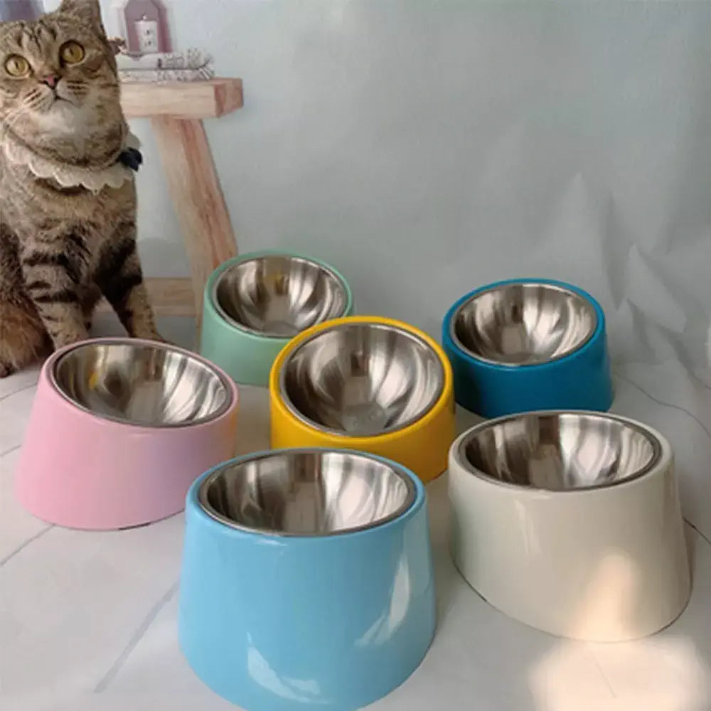 Grands bols surélevés pour animaux