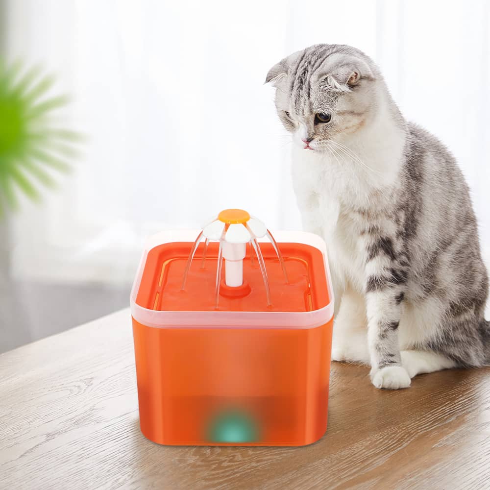 Fontaine à eau carrée orange avec LED pour chat
