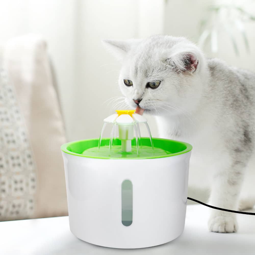 Fontaine à eau ronde avec LED pour chat