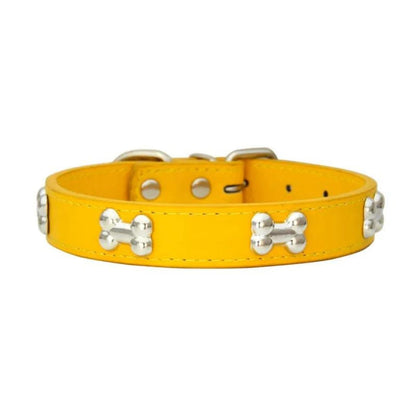 Collier or à motifs os pour chien et chat