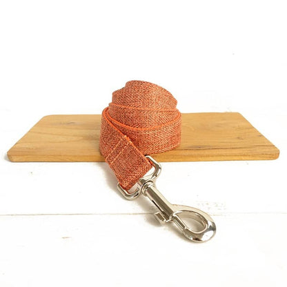 Laisse design orange pour animaux