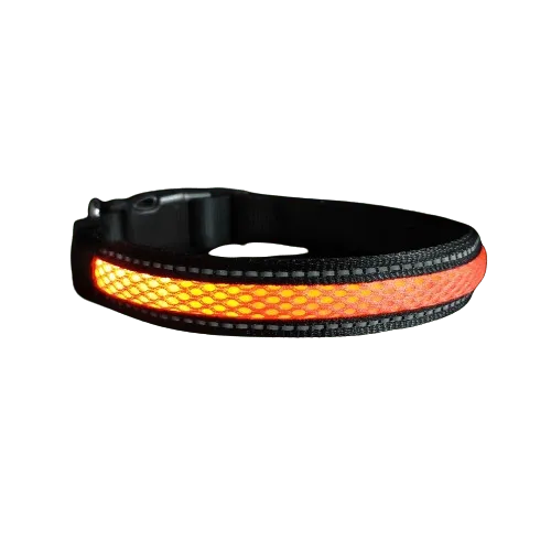 Collier orange en nylon avec lumière Led pour chien