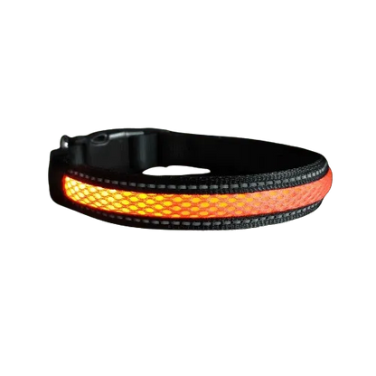 Collier orange en nylon avec lumière Led pour chien