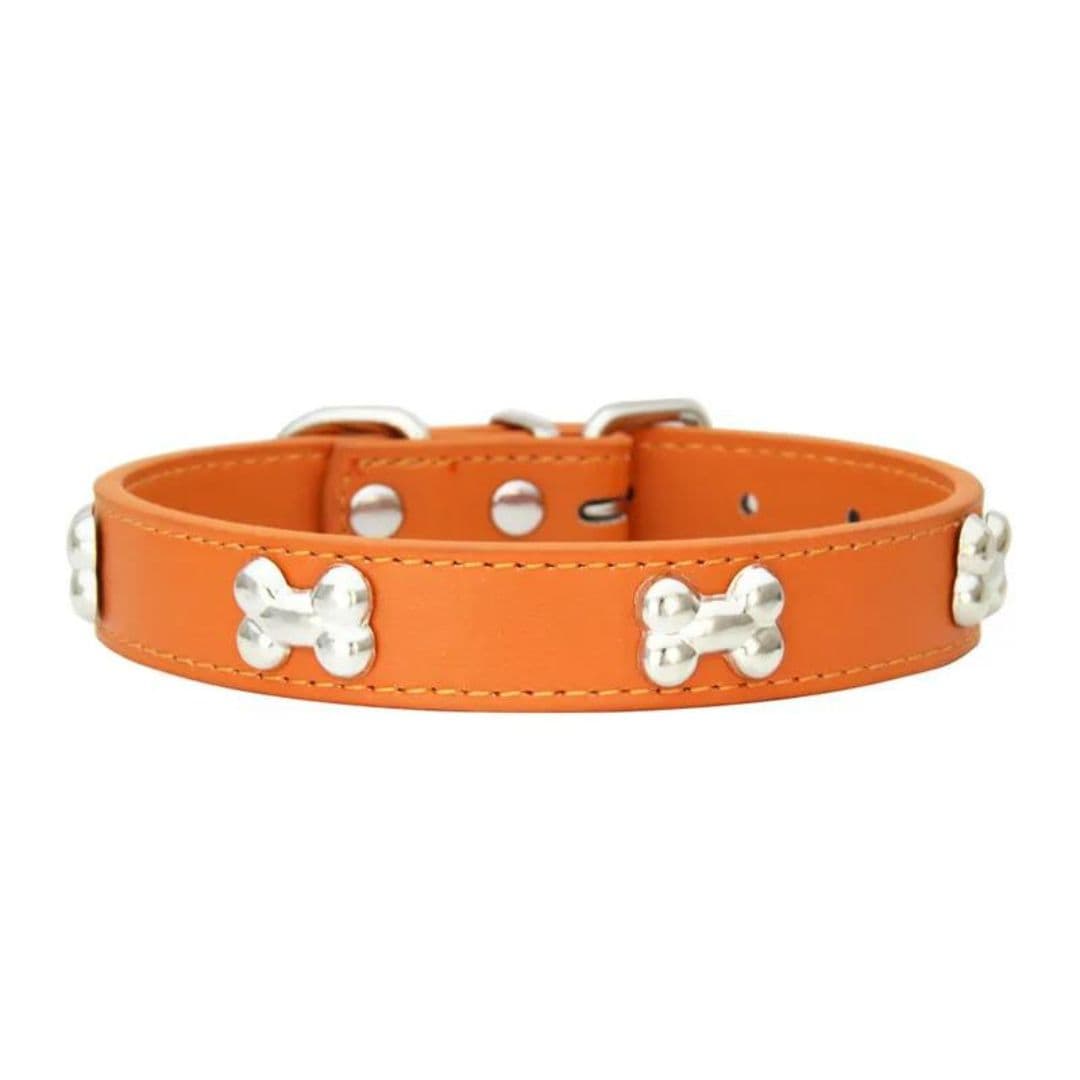 Collier orange à motifs os pour chien et chat