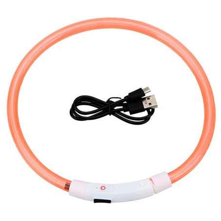 Collier à LED orange pour chien