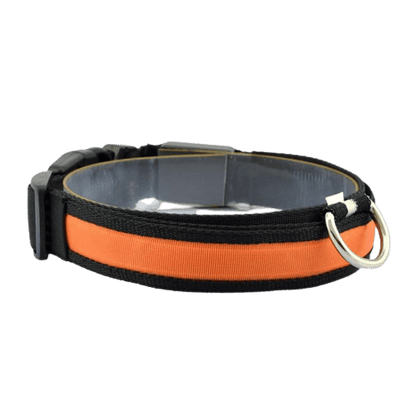 Collier lumineux LED orange en nylon pour chien et chat