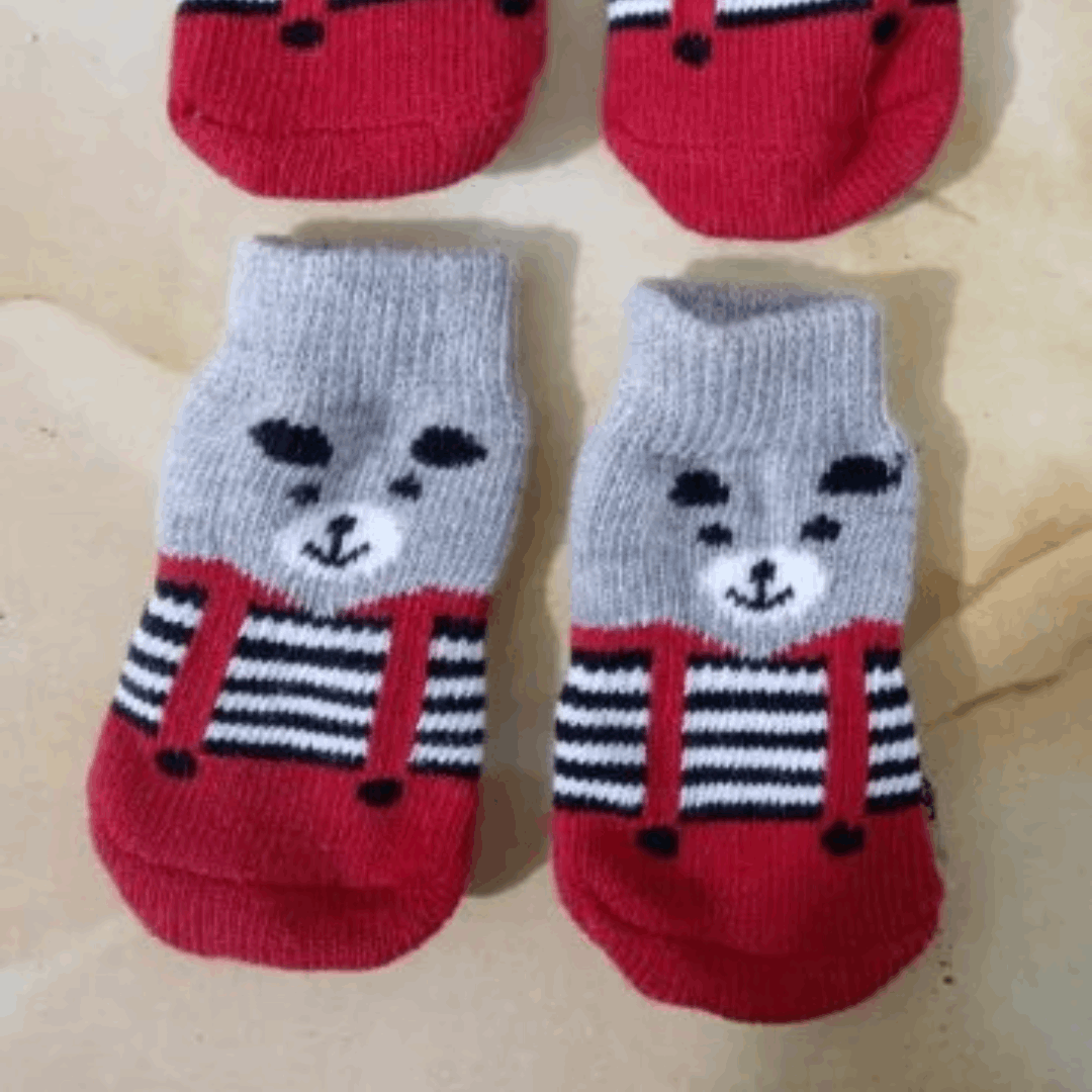 Chaussettes Ours pour chien