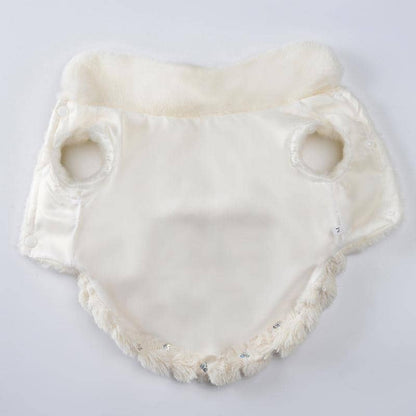 Devant ouvert du pull avec nœud papillon pour animaux