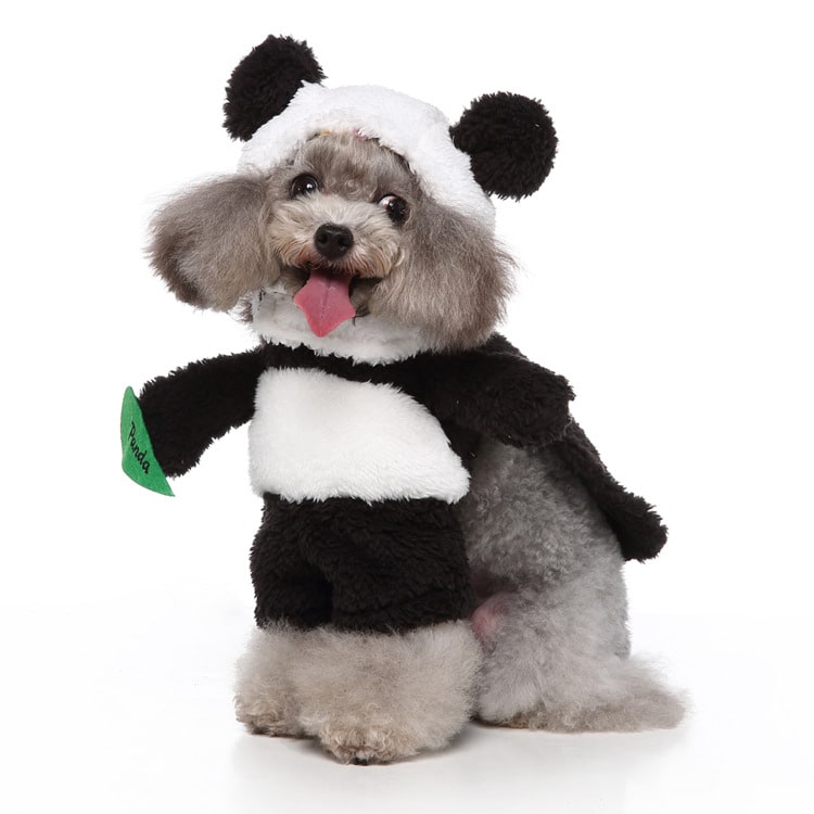 Déguisement panda pour chien et chat