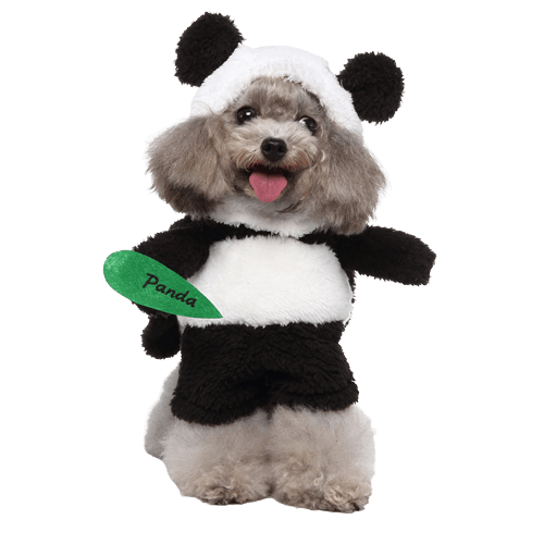 Déguisement pour chat et chien - Panda