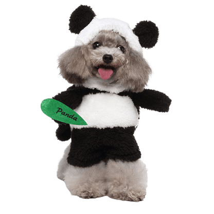 Déguisement pour chat et chien - Panda
