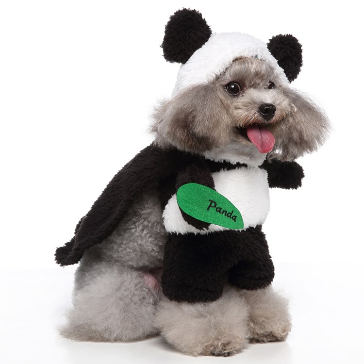 Déguisement pour chat et chien - Panda