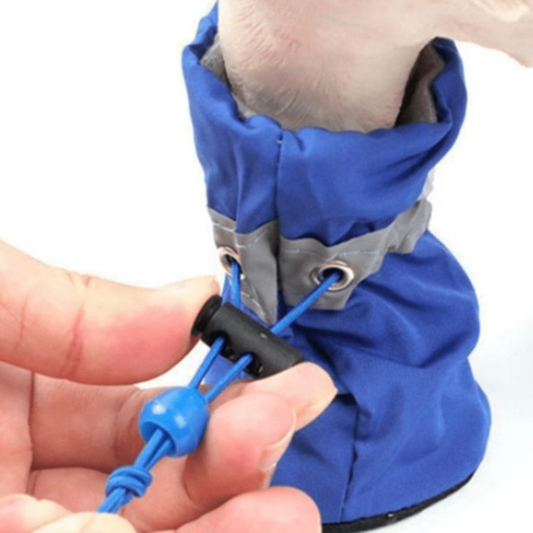 Confort et sécurité avec nos chaussures imperméables pour chien