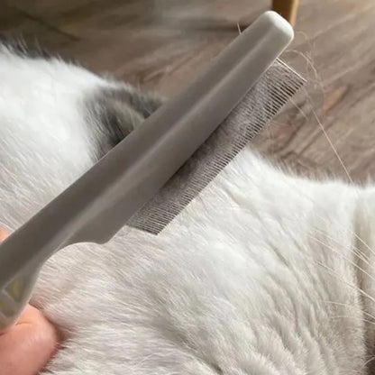 Peigne fin pour petit chien