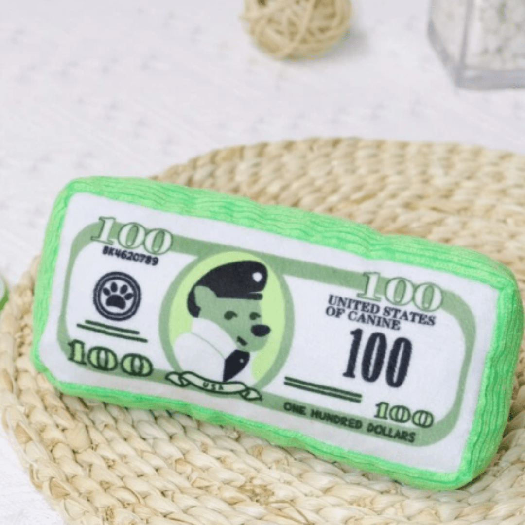 Peluche couineuse pour chien en forme de liasse de billet