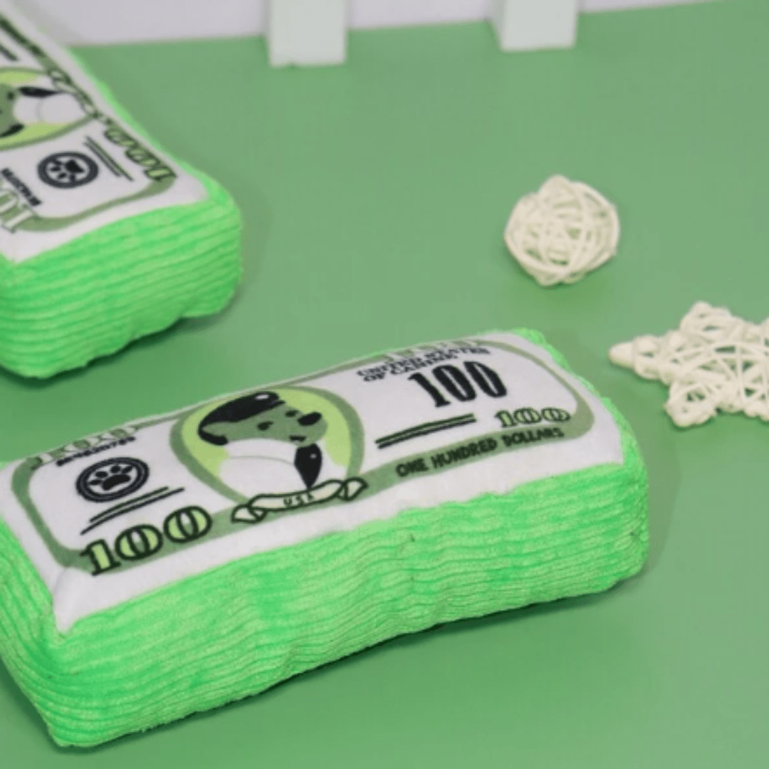 Peluche pour chien en forme de liasse conçu avec des matériaux durables et résistants aux morsures