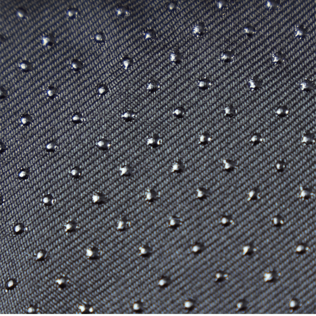 Griffoir pour chat en forme d'animaux anti dérapant