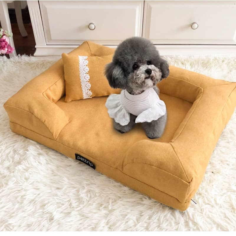 Sofa orange pour chien et chat