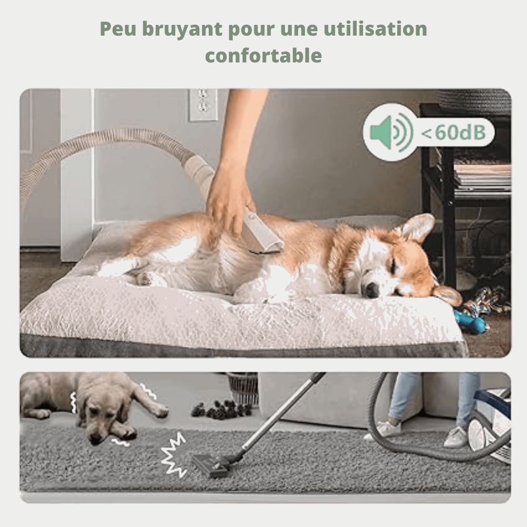 Aspirateur silencieux