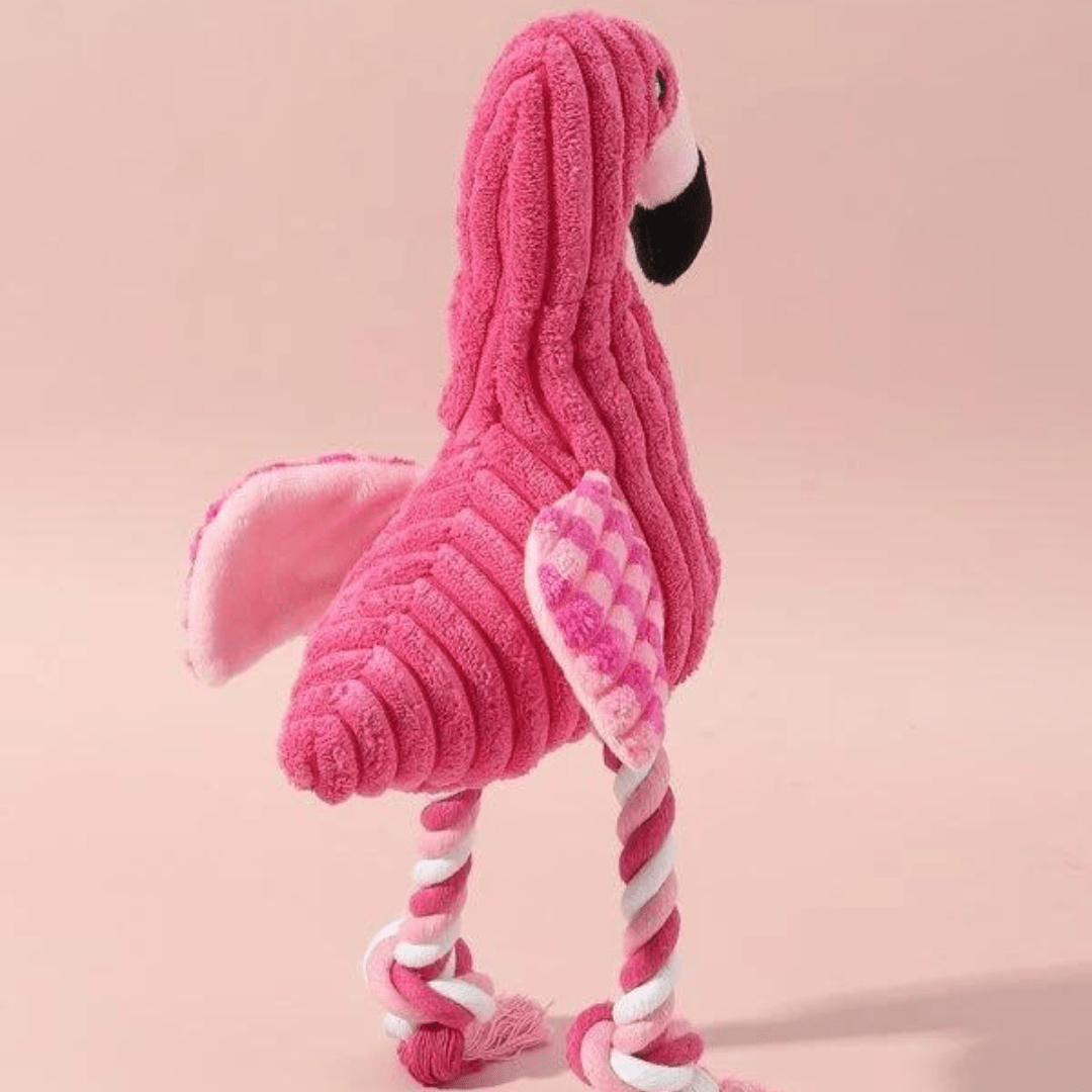 Dos de notre jouet Flamant Rose pour chien
