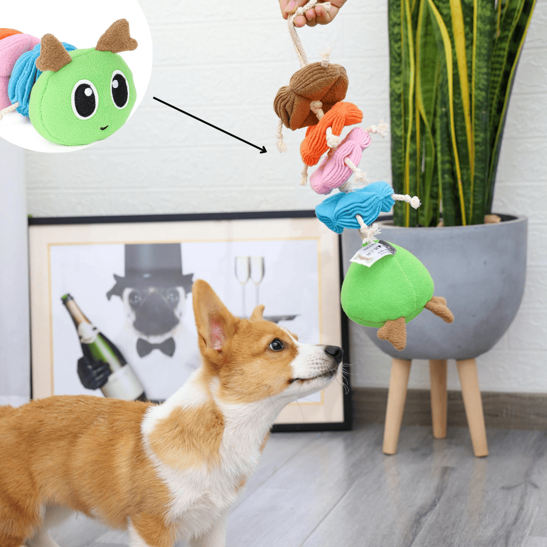 Matériaux de qualité du jouet de fouille pour chien en forme de chenille