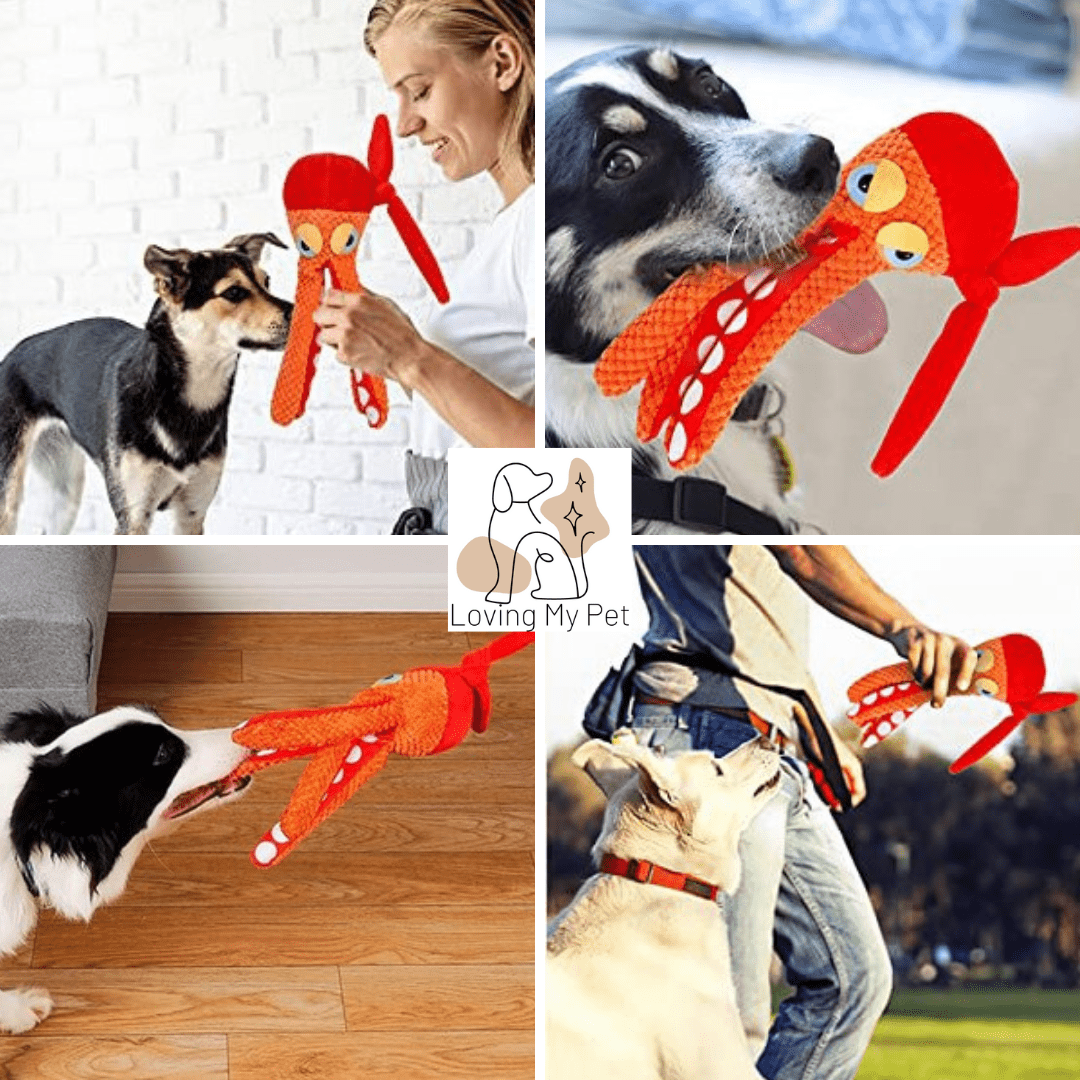 Poulpe en peluche pour chien