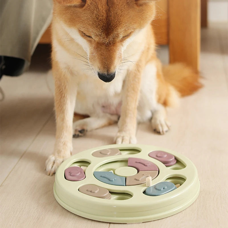 Chien qui joue avec un puzzle interactif pour animaux