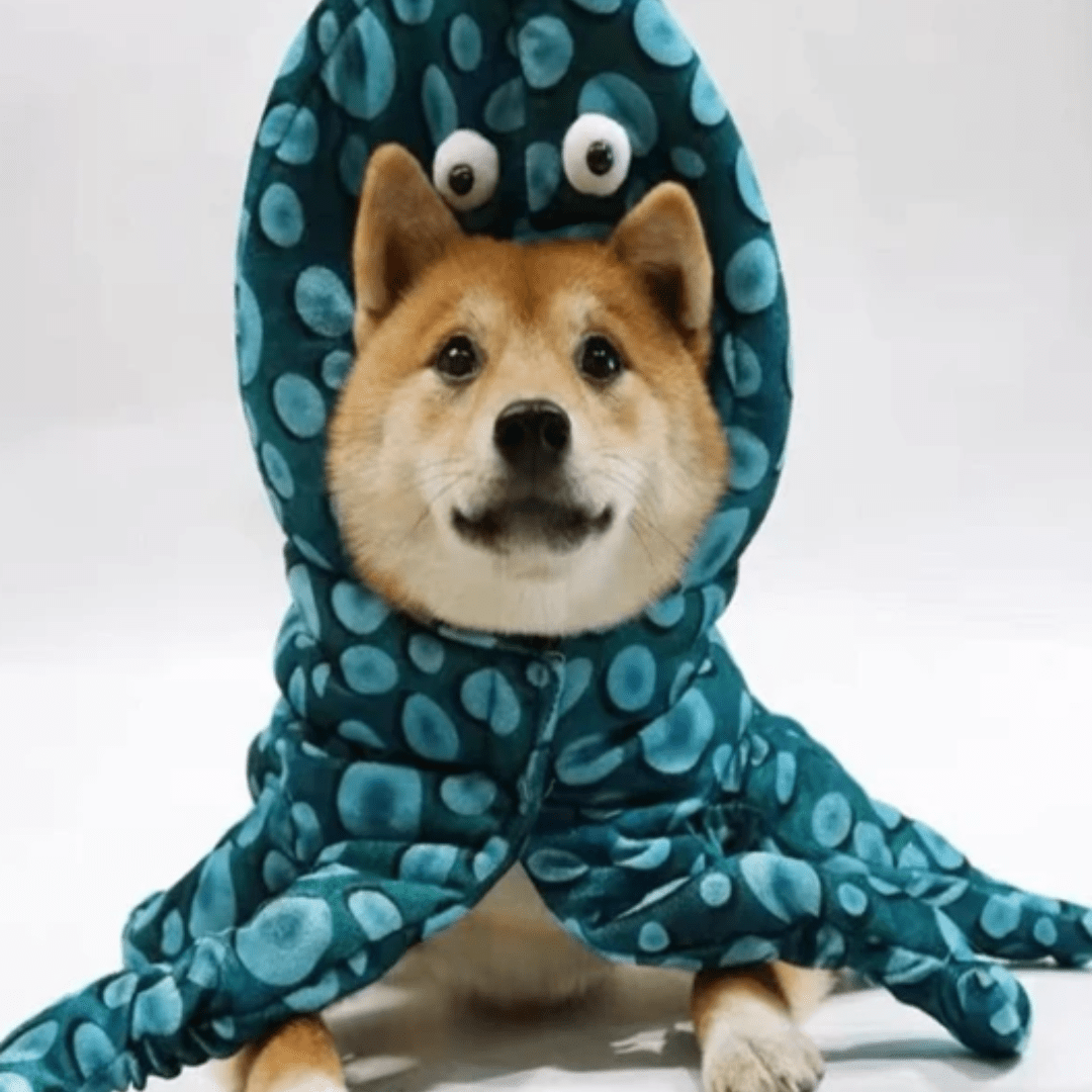 Déguisement pieuvre pour chat et chien