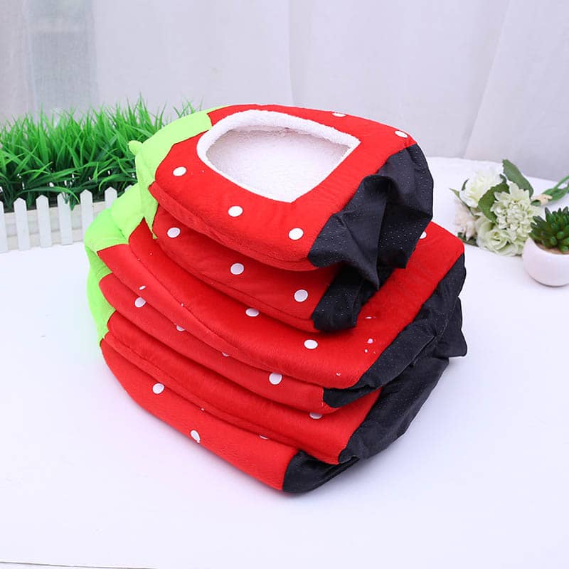 Panier pliable en forme de fraise pour animaux