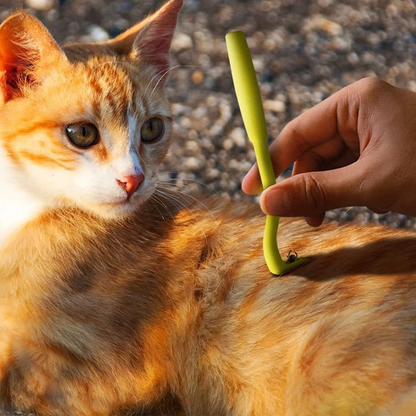 Utilisation de notre pince à tiques en plastique pour chien et chat