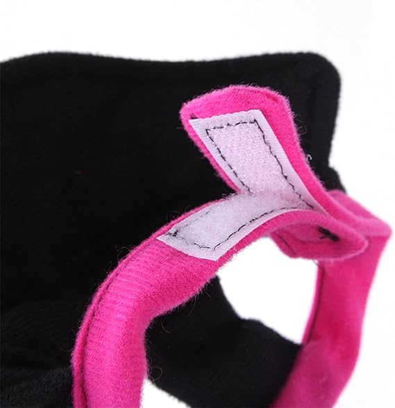 Détails de notre déguisement pour chat et chien