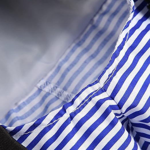 Détails de notre déguisement pour chat et chien