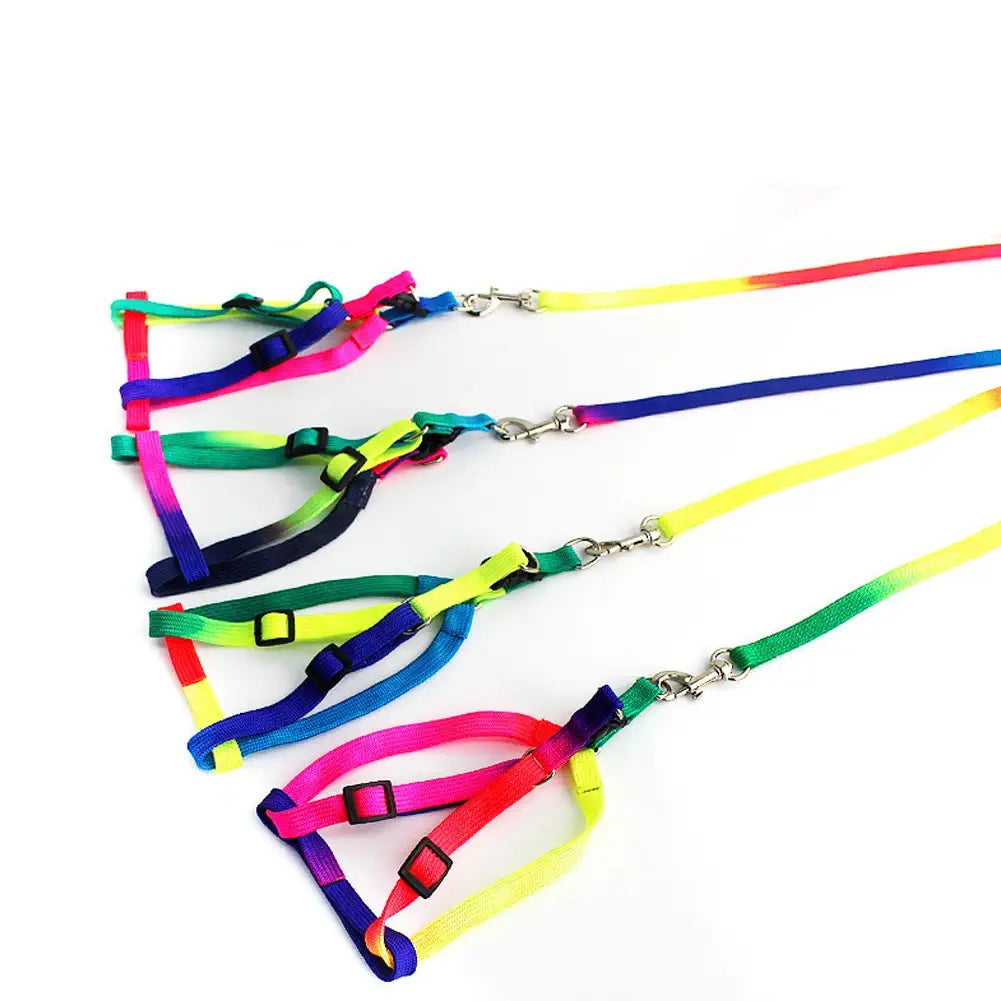 Harnais arc-en-ciel pour animaux