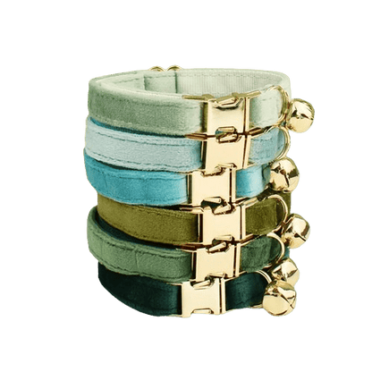 Collection de colliers en velours pour chat