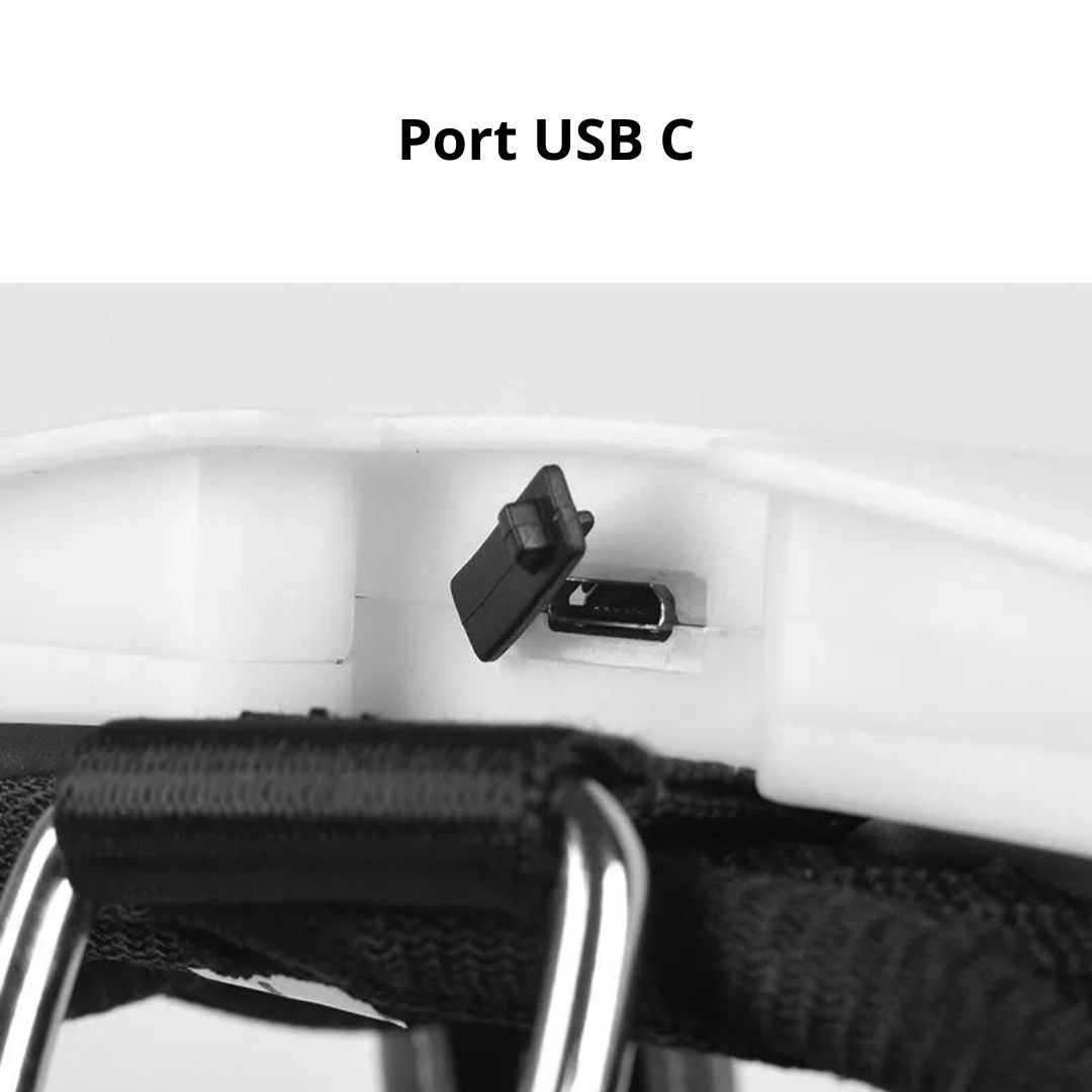 Harnais avec LED pour chien avec port USB C